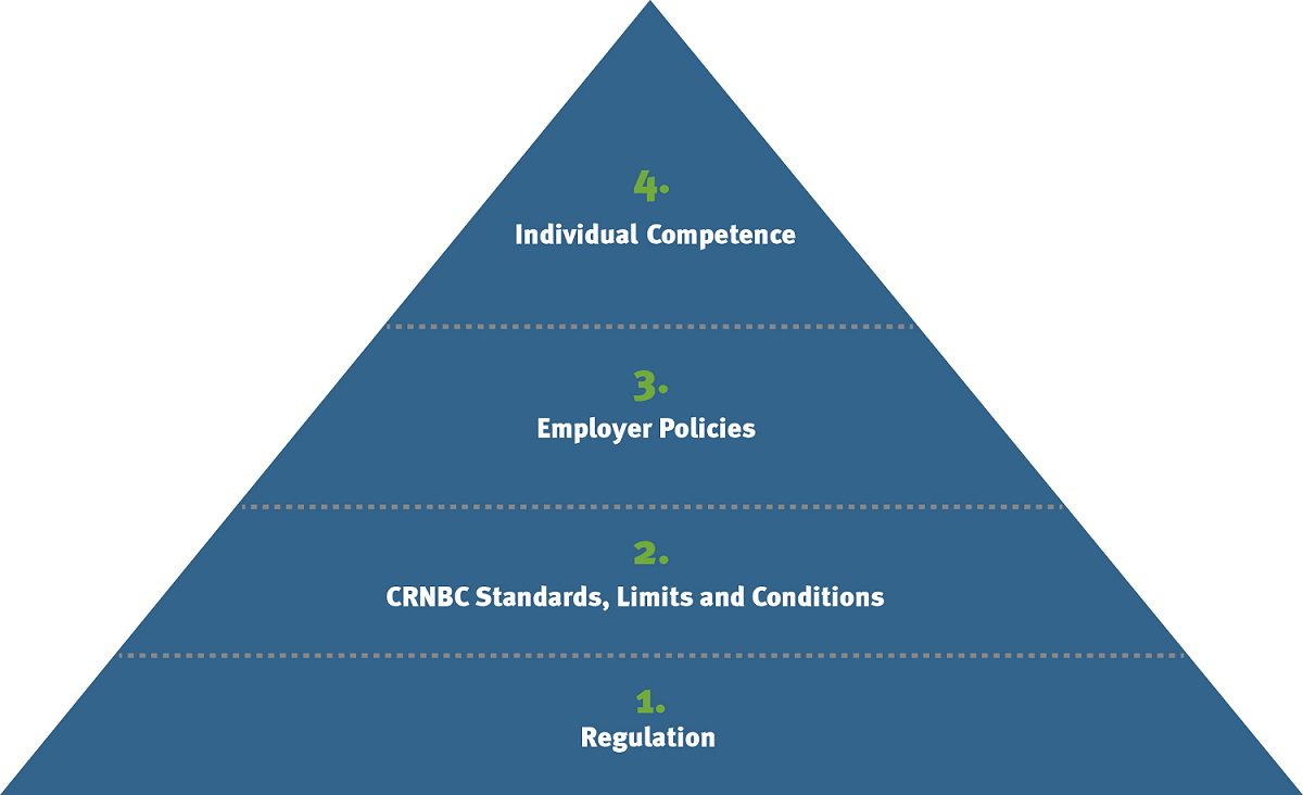 Practice Guidelines Triangle