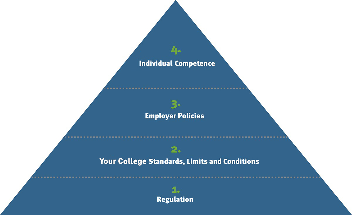 Practice Guidelines Triangle